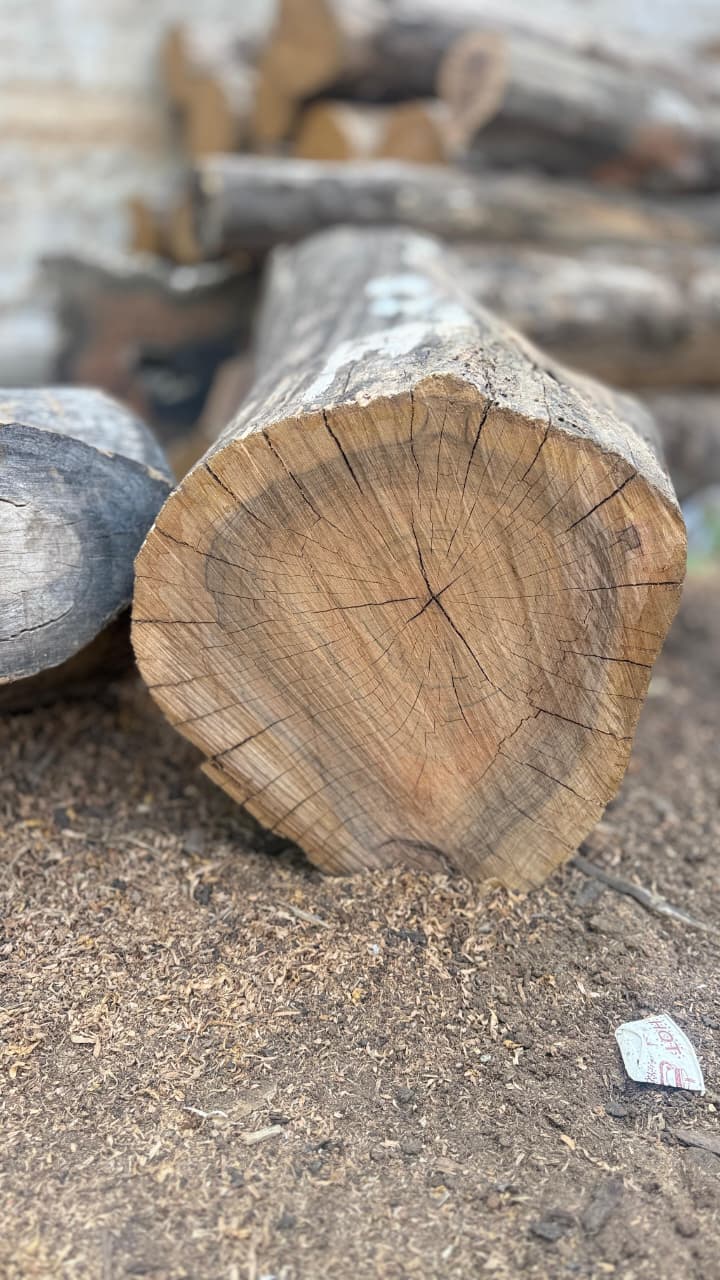 Raw Timber Gallery Image 2