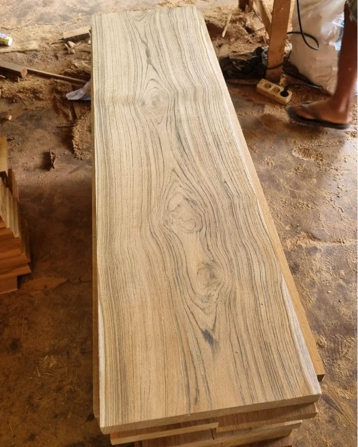 Timber Processing Gallery Image 5