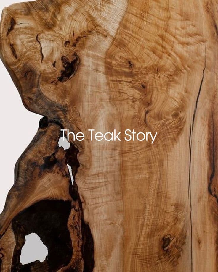 Sagwan Teakwood Texture